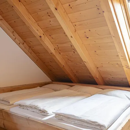 Alpehytte Obertauern 1 Xl