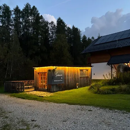 Obertauern 1 Xl Chalet Mariapfarr